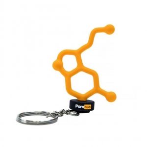 🆕Authentic Pornhub Awards PVC Keychain
